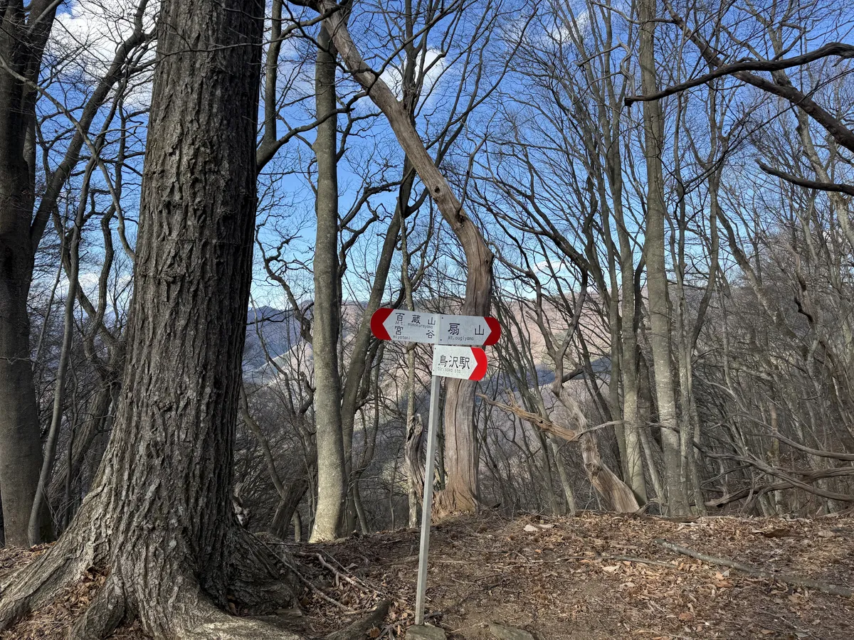 登山道の分岐標識