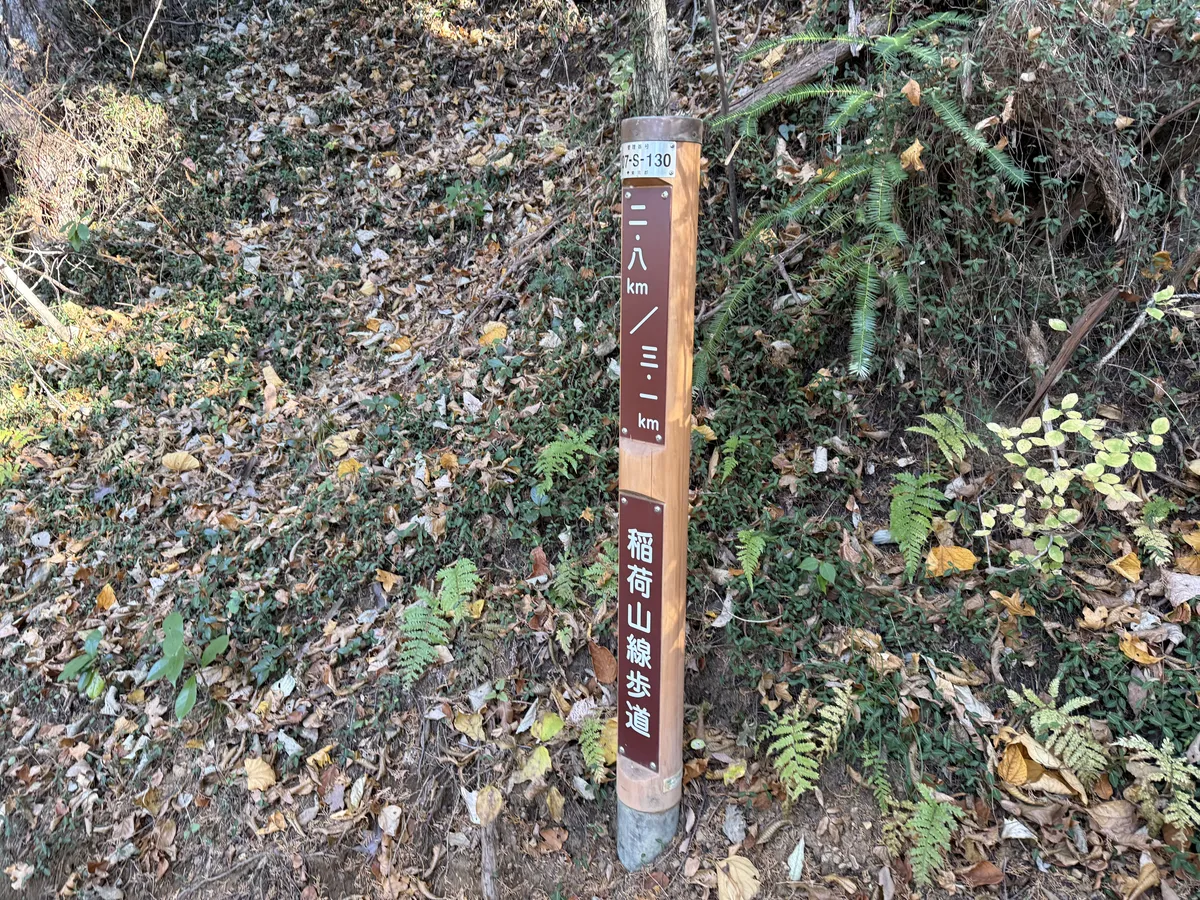 稲荷山コースの尾根道