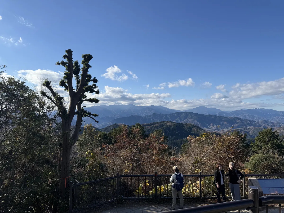 山頂から望む丹沢・奥多摩方面のパノラマ